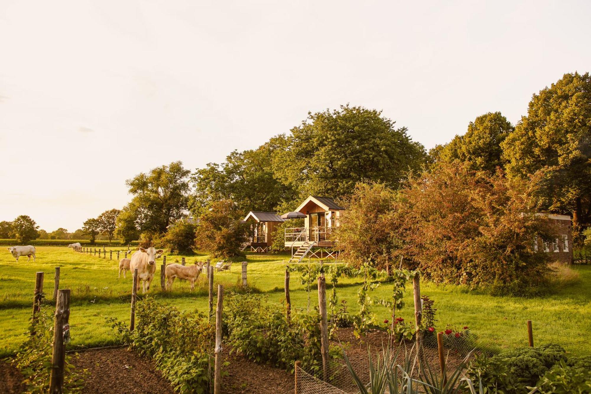 Boutiquehotel & Tiny Houses Plek17 Milsbeek Exterior photo